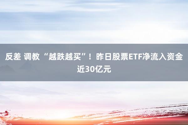 反差 调教 “越跌越买”！昨日股票ETF净流入资金近30亿元