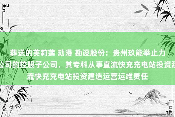 葬送的芙莉莲 动漫 勘设股份：贵州玖能举止力科技有限公司为公司的控股子公司，其专科从事直流快充充电站投资建造运营运维责任