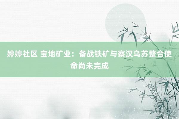 婷婷社区 宝地矿业：备战铁矿与察汉乌苏整合使命尚未完成