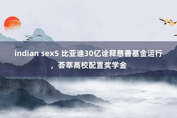 indian sex5 比亚迪30亿诠释慈善基金运行，荟萃高校配置奖学金