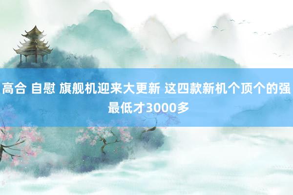 高合 自慰 旗舰机迎来大更新 这四款新机个顶个的强 最低才3000多