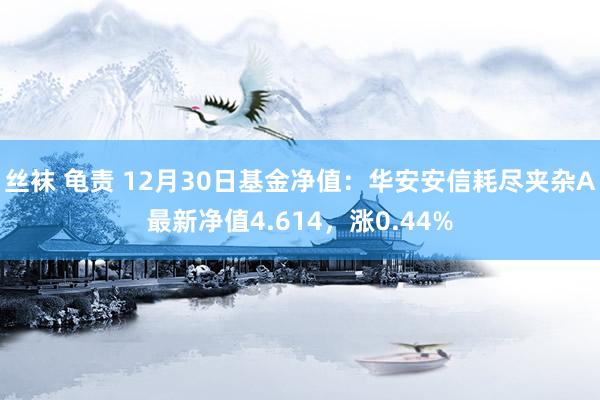 丝袜 龟责 12月30日基金净值：华安安信耗尽夹杂A最新净值4.614，涨0.44%