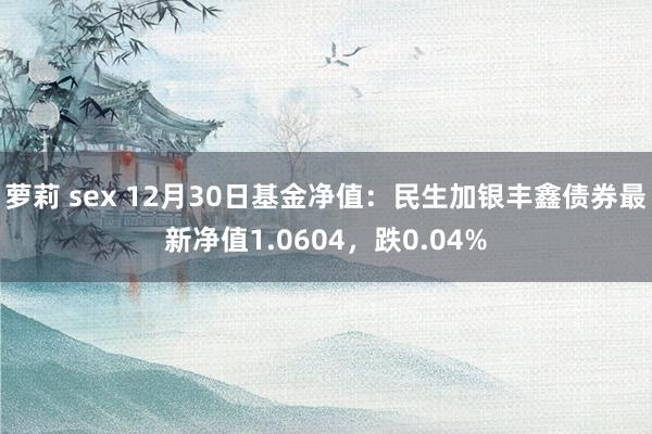 萝莉 sex 12月30日基金净值：民生加银丰鑫债券最新净值1.0604，跌0.04%