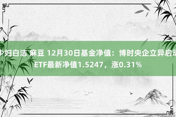 少妇白洁 麻豆 12月30日基金净值：博时央企立异启动ETF最新净值1.5247，涨0.31%