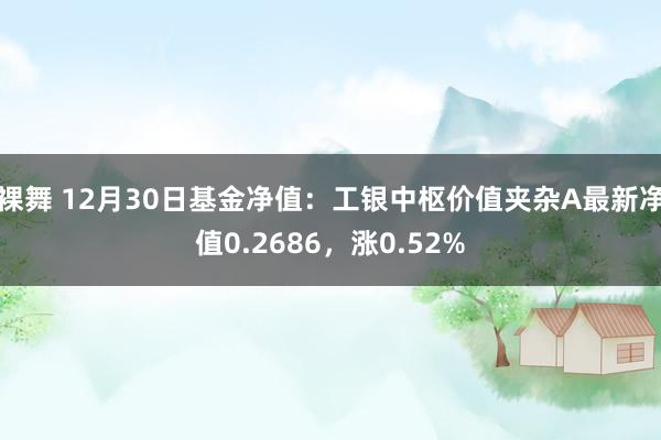 裸舞 12月30日基金净值：工银中枢价值夹杂A最新净值0.2686，涨0.52%