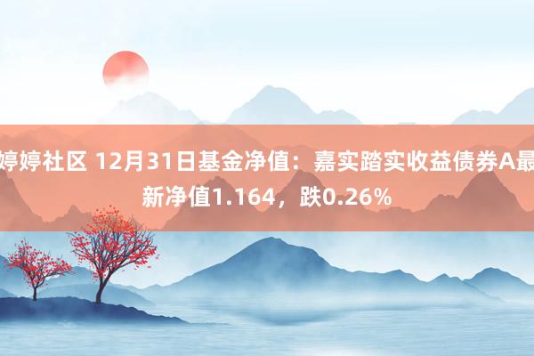 婷婷社区 12月31日基金净值：嘉实踏实收益债券A最新净值1.164，跌0.26%