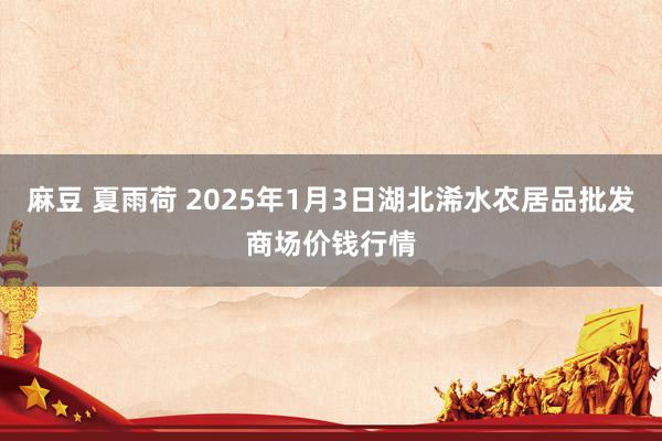 麻豆 夏雨荷 2025年1月3日湖北浠水农居品批发商场价钱行情