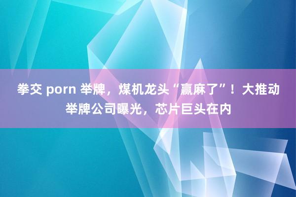 拳交 porn 举牌，煤机龙头“赢麻了”！大推动举牌公司曝光，芯片巨头在内