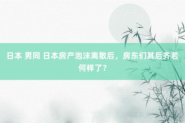 日本 男同 日本房产泡沫离散后，房东们其后齐若何样了？