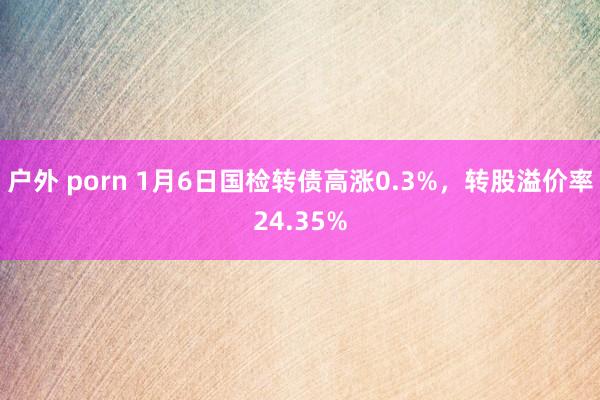 户外 porn 1月6日国检转债高涨0.3%，转股溢价率24.35%