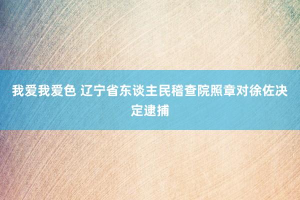 我爱我爱色 辽宁省东谈主民稽查院照章对徐佐决定逮捕