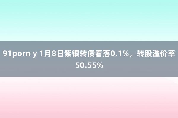 91porn y 1月8日紫银转债着落0.1%，转股溢价率50.55%