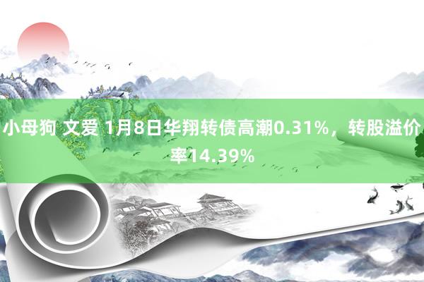 小母狗 文爱 1月8日华翔转债高潮0.31%，转股溢价率14.39%