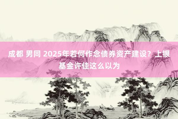 成都 男同 2025年若何作念债券资产建设？上银基金许佳这么以为