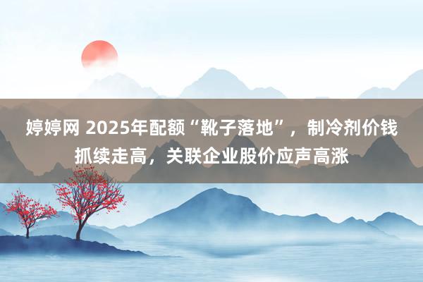 婷婷网 2025年配额“靴子落地”，制冷剂价钱抓续走高，关联企业股价应声高涨