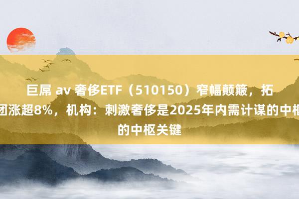 巨屌 av 奢侈ETF（510150）窄幅颠簸，拓普集团涨超8%，机构：刺激奢侈是2025年内需计谋的中枢关键