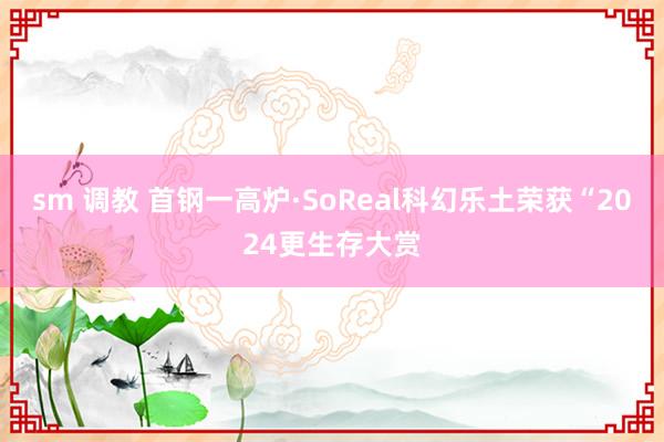 sm 调教 首钢一高炉·SoReal科幻乐土荣获“2024更生存大赏