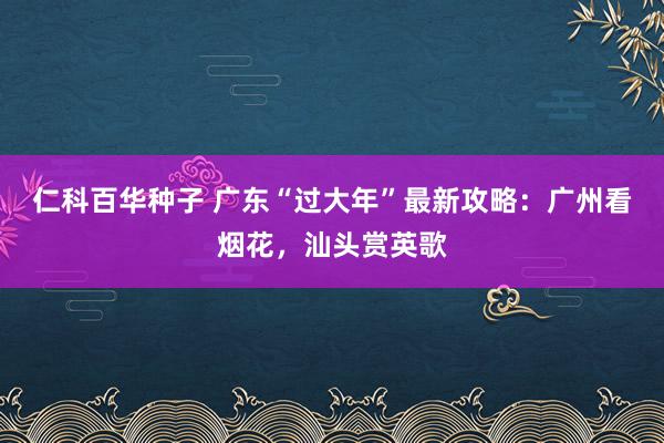 仁科百华种子 广东“过大年”最新攻略：广州看烟花，汕头赏英歌