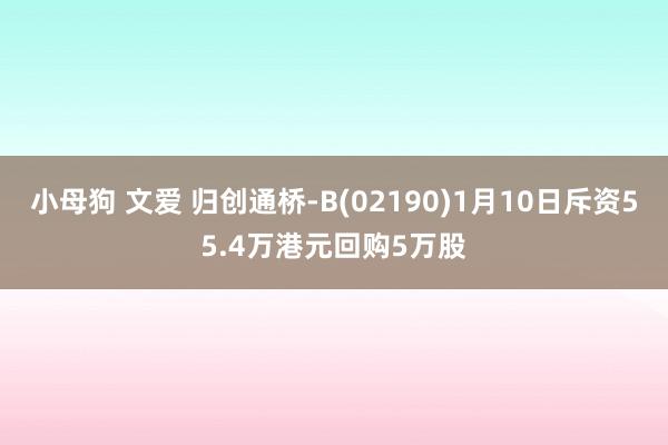 小母狗 文爱 归创通桥-B(02190)1月10日斥资55.4万港元回购5万股