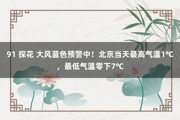 91 探花 大风蓝色预警中！北京当天最高气温1℃，最低气温零下7℃