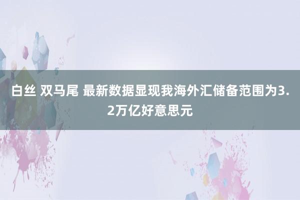 白丝 双马尾 最新数据显现我海外汇储备范围为3.2万亿好意思元