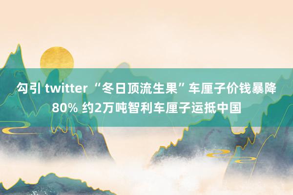 勾引 twitter “冬日顶流生果”车厘子价钱暴降80% 约2万吨智利车厘子运抵中国