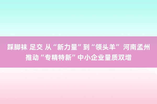 踩脚袜 足交 从“新力量”到“领头羊” 河南孟州推动“专精特新”中小企业量质双增