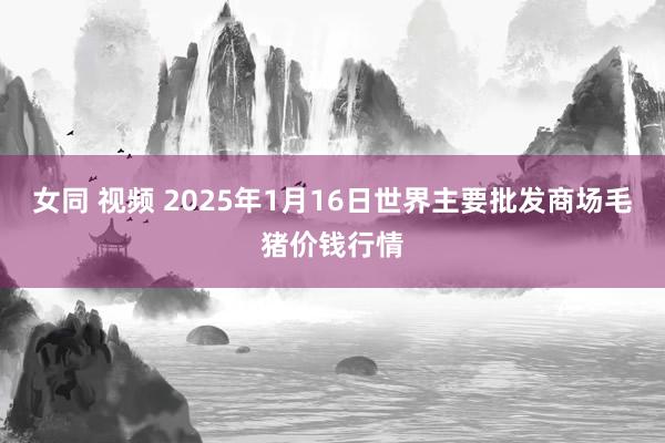 女同 视频 2025年1月16日世界主要批发商场毛猪价钱行情