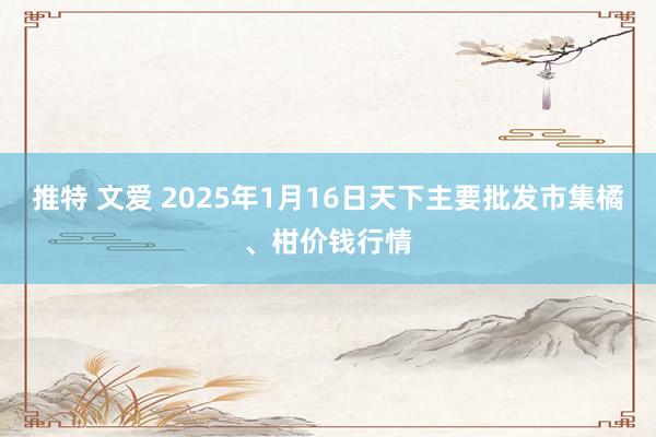 推特 文爱 2025年1月16日天下主要批发市集橘、柑价钱行情