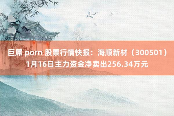 巨屌 porn 股票行情快报：海顺新材（300501）1月16日主力资金净卖出256.34万元