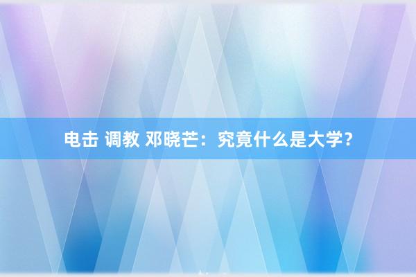 电击 调教 邓晓芒：究竟什么是大学？