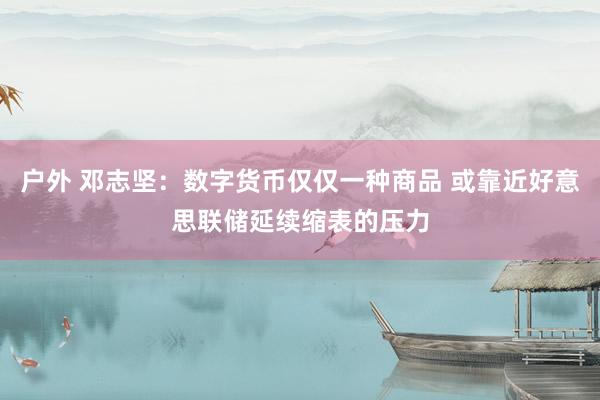 户外 邓志坚：数字货币仅仅一种商品 或靠近好意思联储延续缩表的压力