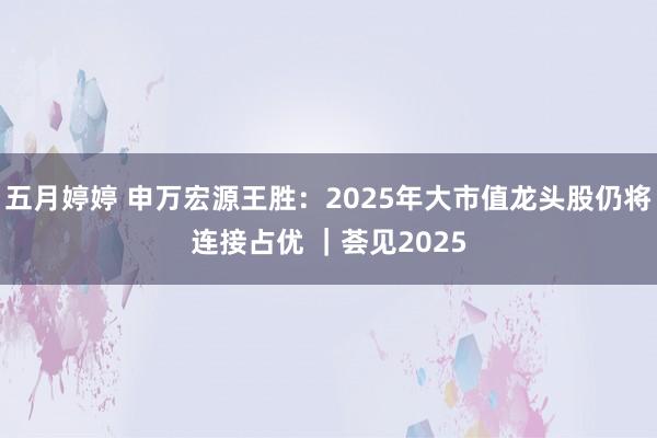 五月婷婷 申万宏源王胜：2025年大市值龙头股仍将连接占优 ｜荟见2025