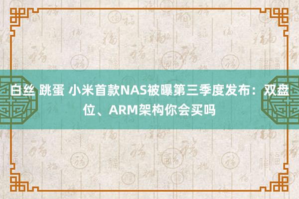 白丝 跳蛋 小米首款NAS被曝第三季度发布：双盘位、ARM架构你会买吗